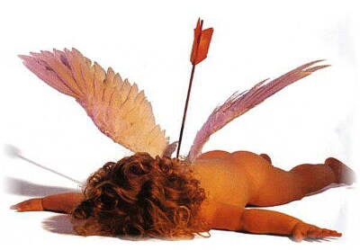 Wrong Cupid