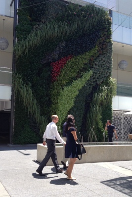 Insanely gorgeous art installation/wall of plant life at the mall across the street.