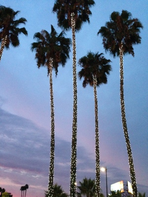 A beautiful night in LA.